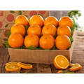 Natural High Quality Sweet Fresh Citrus Mandarin Navel Orange